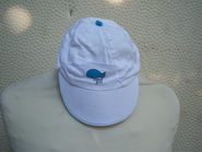 cha5